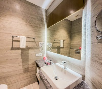Jain Deluxe King Room Washroom