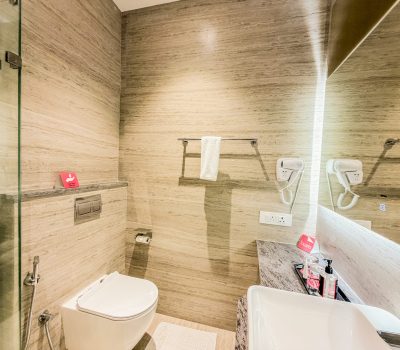 Jain Deluxe King Room Washroom