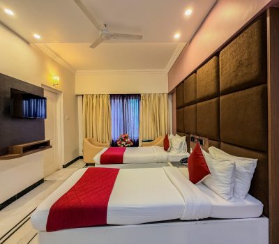 Deluxe Twin Room (5)