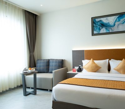Pandharpur Deluxe King Room (4)