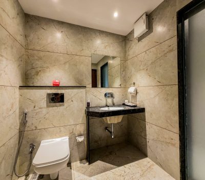 Pandharpur Premium Room (6)