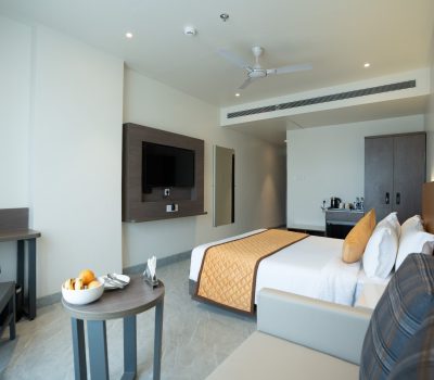 Pandharpur Suite (5)